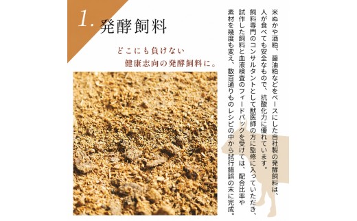 梶岡牛 ジャーキー【JERKY?NOT JERKY!!】 1袋 ｜ おつまみ ジャーキー 乾燥肉 珍味 おやつ A5 黒毛和牛 牛 うし 牛肉 ビーフ お肉 肉 セット 肉加工品 お取り寄せ グルメ 