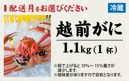 【先行予約】まっ田の越前がに 1.1kg×1杯【11月～3月配送】[L-007009]