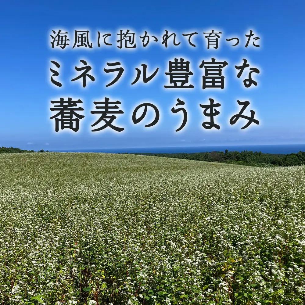 【積丹町そば】20人前≪麺260g×つゆ120g×10セット≫　年越しそば 国産 積丹産 蕎麦 冷凍（SN014）