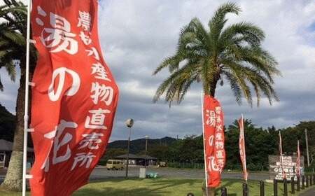 【先行予約＿2026年出荷分】湯の花　はるみ３kg　【 はるみ  はるみ  はるみ  はるみ  はるみ 】