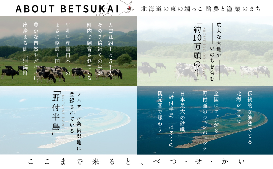 ひがし北海道 別海町の旅（羽田発着 ANA往復 航空券 + 別海町 宿泊 1泊 + レンタカー 北海道 旅行）【SB00000004】_イメージ2