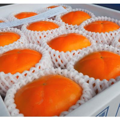 ふるさと納税 橋本市 【先行受付　2026年秋順次発送】秋の味覚のたねなし柿(3Lサイズ　10〜12個) |  | 01