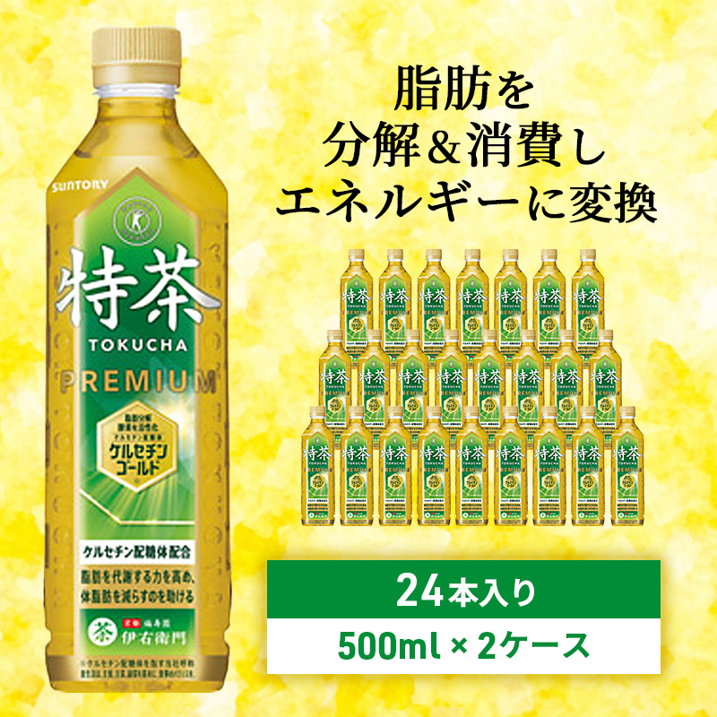お茶 サントリー 緑茶 伊右衛門 特茶 （特定保健用食品） 500mlペット 2箱 48本