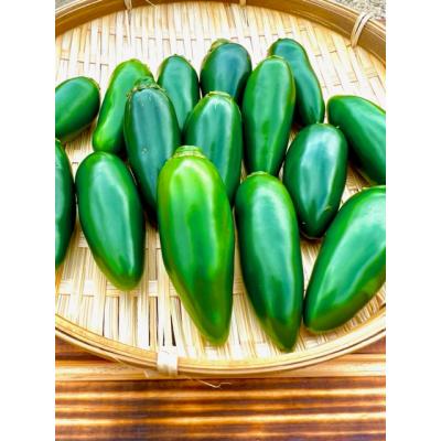 ふるさと納税 熊野市 【テレビで紹介されました】熊野唐辛子ギフト16一味唐辛子(ハラペーニョ・プリッキーヌ)+ドレッシング |  | 02