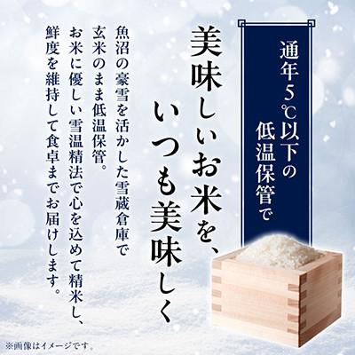 ふるさと納税 南魚沼市 【毎月定期便】南魚沼産こしひかり　無洗米　5kg全12回 |  | 03
