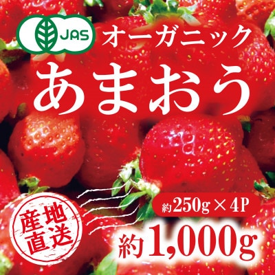 有機あまおう約250g×4パック【配送不可地域：離島】