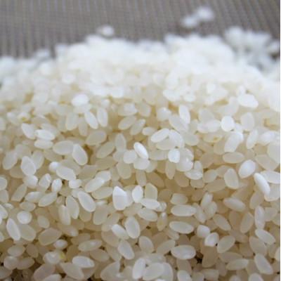 ふるさと納税 北川村 北川村の米〈維新の風〉[5kg×5袋] |  | 02