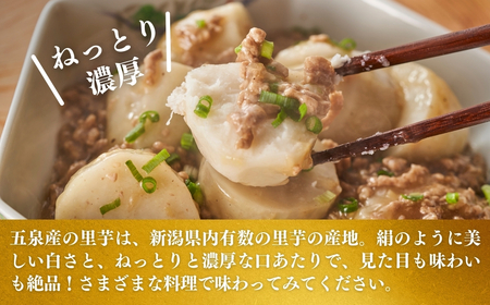 五泉産【訳アリ】大玉さといも(2L以上)3kg〈11月上旬以降順次発送〉 |五泉市 里芋
