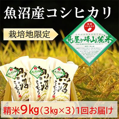 ふるさと納税 魚沼市 令和7年産【魚沼コシヒカリ】鳥屋ヶ峰山麓米 9kg (精米3kg×3袋)