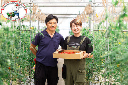 川村とまと園ギフトボックス (フルーツトマト800g／ケチャップ／ジャムセット)｜甘い ミニトマト プチトマト 野菜 料理 ギフト プレゼント ケチャップ ジャム 産地直送 房総 千葉 袖ケ浦 [06