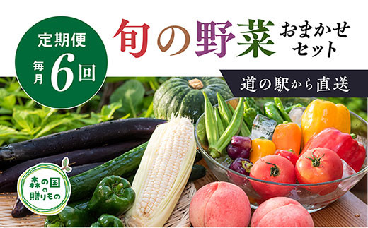 
【毎月6回定期便】道の駅「虹の森公園まつの」産直市 朝採り野菜セット9～10種類
