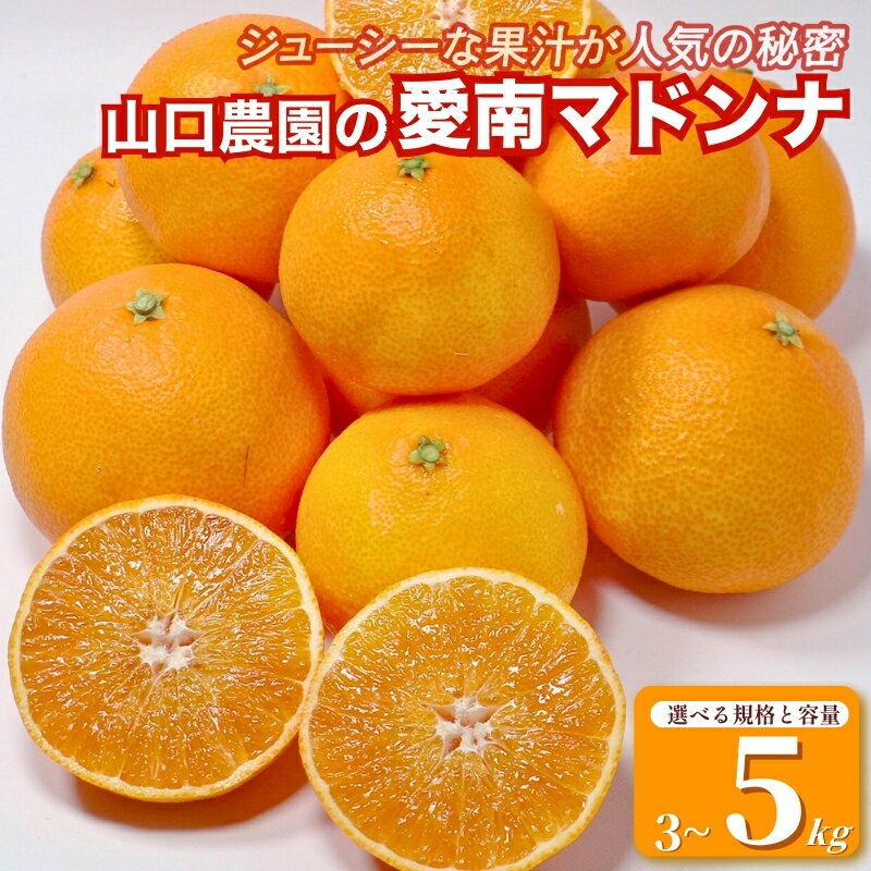 【ふるさと納税】 先行予約 選べる 規格 容量 愛南マドンナ 3kg 5kg 訳あり 精品 まどんな 紅まどんな 愛果28号 みかん 蜜柑 mikan ミカン 高級 人気 ブランド 柑橘 果物 フルーツ ビタミン 美容 健康 国産 産地 直送 愛媛県 愛南町 山口農園
