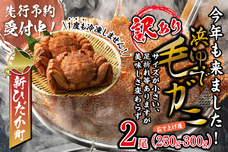 ＜2026年2月中旬から順次発送＞ 訳あり 北海道産 浜ゆで 毛ガニ 2尾 ( 1尾あたり 250g ～ 300g ) ＜予約商品＞ 