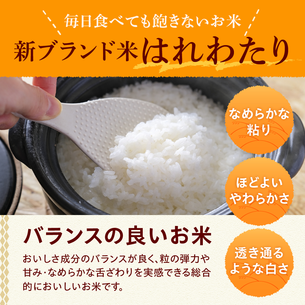 【令和8年産】 自然乾燥米 はれわたり 2kg 七和自然乾燥米 精米 新米 【 産地直送 白米 お米 こめ コメ ご飯 ハレワタリ 青森米 五所川原 自然乾燥 米 】