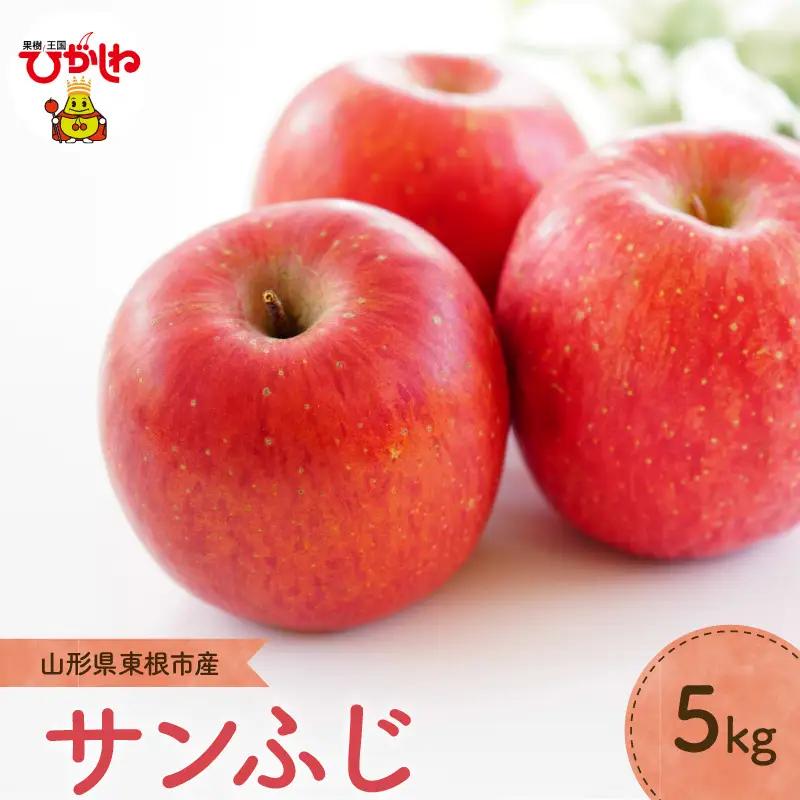 【2026年産】 りんご 「 サンふじ 」 5kg りんご