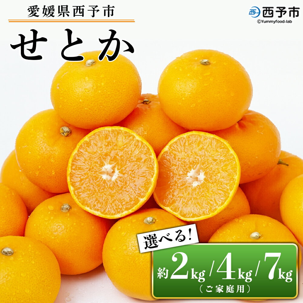 【ふるさと納税】先行予約＜愛媛県西予市産 せとか ご家庭用 約2kg／4kg／7kg＞ 訳あり 不揃い 傷 果物 フルーツ みかん ミカン 蜜柑 セトカ オレンジ 柑橘類 選べる 甘い 期間限定 食べて応援 特産品 宇都宮物産 【常温】『2026年2月下旬～4月上旬迄に順次出荷予定』