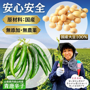 激辛国産青唐辛子味噌「けつっこわし」 【500ｇ×2本】辛くておいしい無添加合わせ味噌 【tab0223-502】