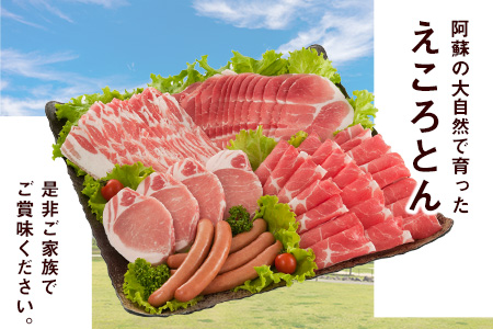 えころとん・豚肉5種(計1100g) バラエティセット《60日以内に出荷予定(土日祝除く)》熊本県産 有限会社ファームヨシダ