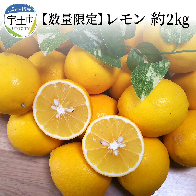 【ふるさと納税】進栄　農薬を使わず栽培!! レモン約2kg【熊本県宇土市】