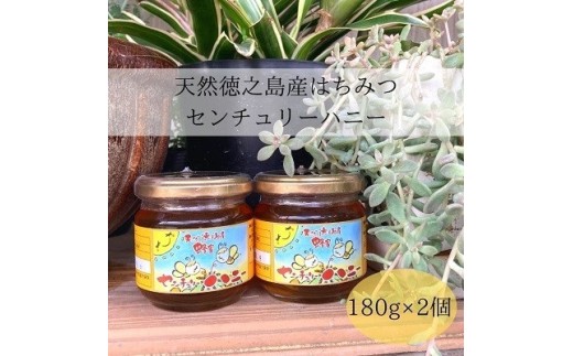 天然徳之島産はちみつ「センチュリーハニー」180g×2個