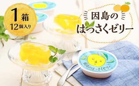 因島のはっさくゼリー 12個入り ゼリー