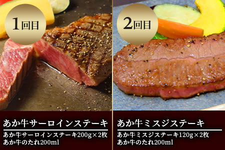 【定期便6回】あか牛 ステーキ 食べ比べ！ 6部位 熊本県産 和牛 タレ付 【 牛肉 肉 定期 和牛 国産 ステーキ ご褒美 6カ月 】 046-0634