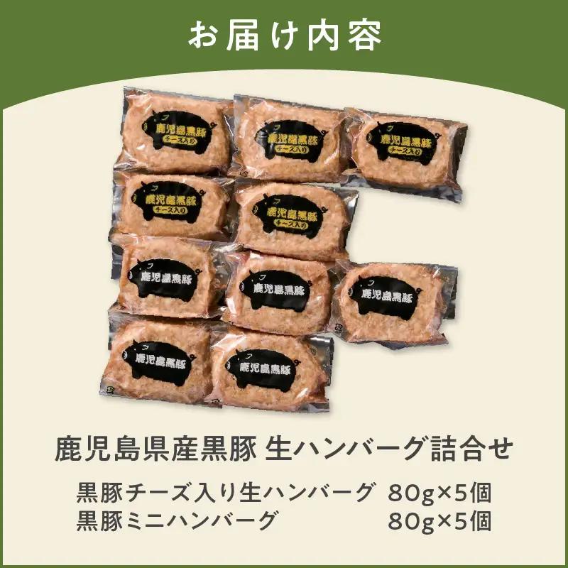 鹿児島県産 黒豚 生ハンバーグ 詰合せ K356-005 肉 豚肉 惣菜 総菜 冷凍