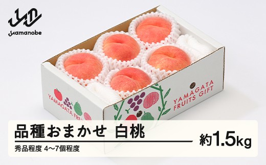 
                  【先行予約】もも 桃 品種おまかせ 白桃 秀品程度 約1.5kg(4~7個程度) 2026年産 山形県産 ※沖縄・離島への配送不可 tf-moyws1500
                
