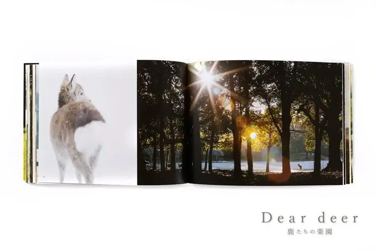 奈良の鹿 写真集「Dear deer 鹿たちの楽園」（KAZUTO PHOTO OFFICE 佐藤和斗） J-63