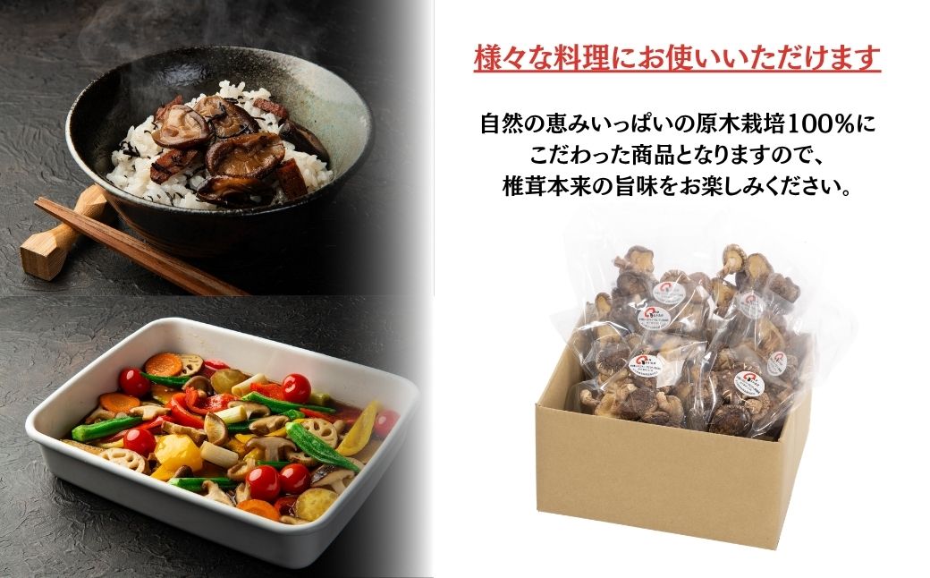 【訳あり】 原木椎茸 不揃い椎茸 10袋セット | 椎茸 シイタケ きのこ キノコ 不揃い 乾燥しいたけ お料理 小分け プレゼント 袋詰め 九州 送料無料 津久見市【tsu006003】