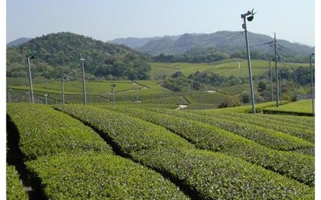 やまぐち巡り　四季の奏・潤・萌・歩・笑　ふるさとの味「山口茶」 AA01-FN
