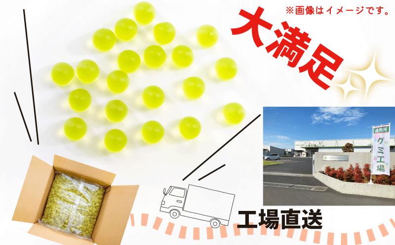 ※画像はイメージです。