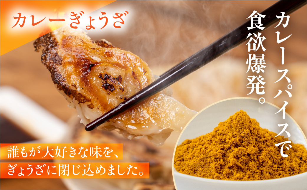 生ぎょうざ専門店「新家」の生ぎょうざ 創作ぎょうざ 4種類