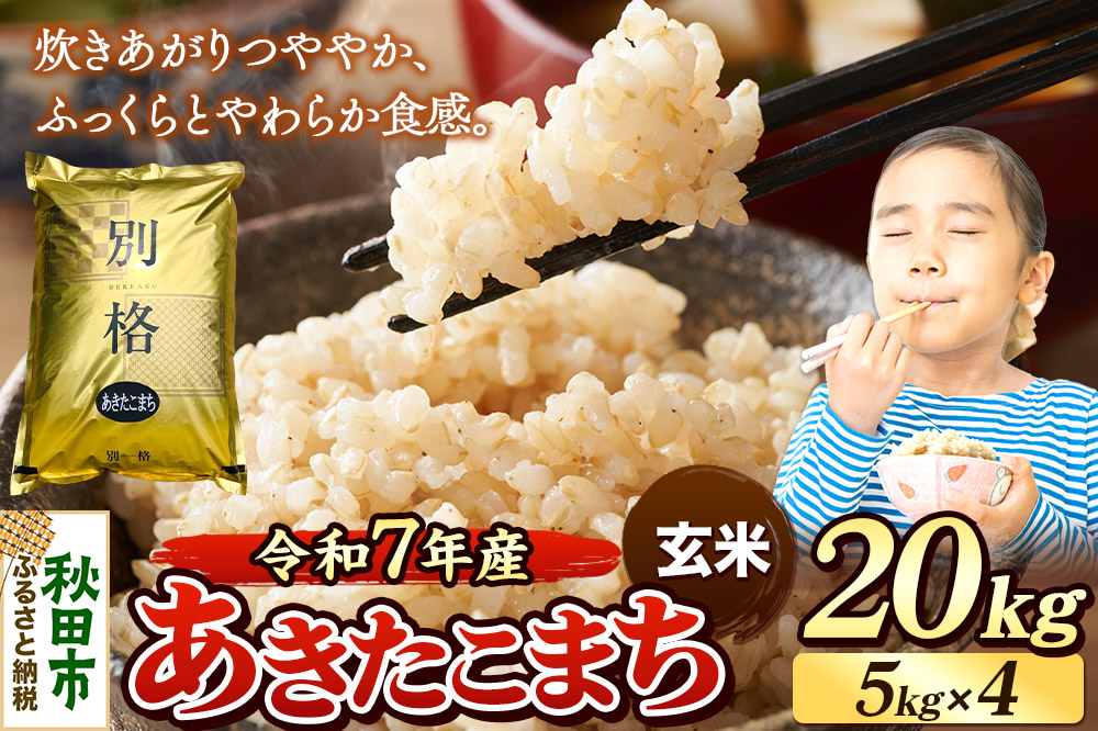 《令和7年産》 米 あきたこまち 20kg（5kg×4袋） 【玄米】 秋田県産