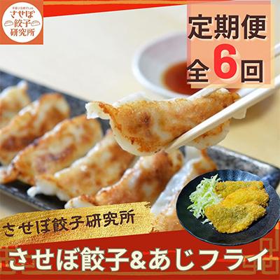 ふるさと納税 佐世保市 【発送月固定定期便】させぼ餃子研究所 させぼ餃子&amp;あじフライセット 全6回