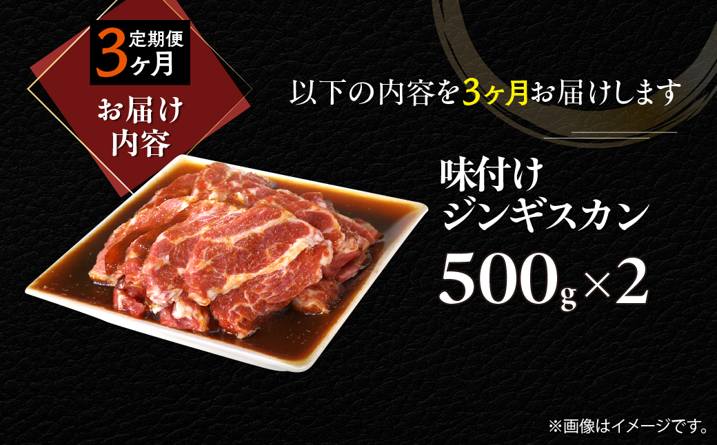【3ヶ月定期便】味付けジンギスカン500g×2 MROA246 ３回 ２パック