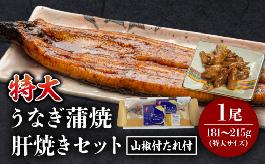 《2026年6月発送予定》国産うなぎ蒲焼(特大サイズ)・肝焼きセット_M069-015_01-jun