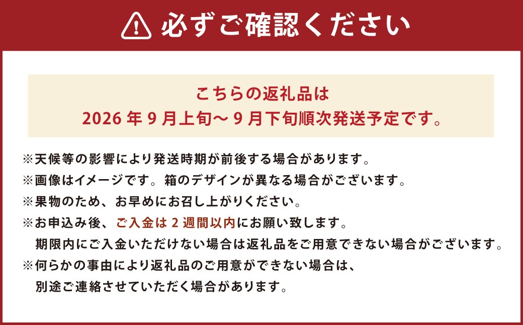 福岡県産 極早生みかん・早味かん 約4kg 果物 くだもの フルーツ 柑橘 かんきつ 
