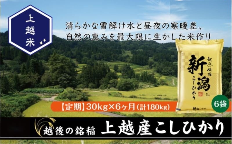 
            令和7年産 新潟県上越産こしひかり 精米 30kg 6か月定期便 上越市 米 コメ コシヒカリ
          