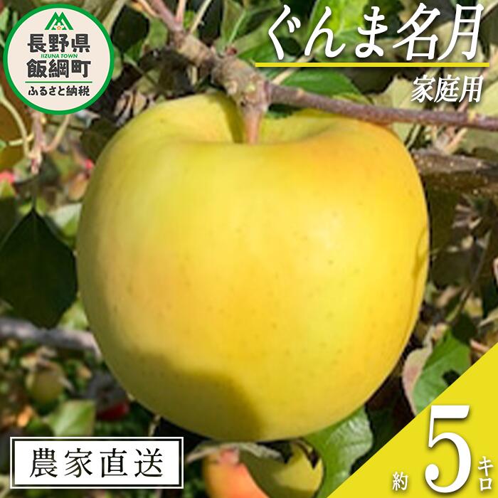 【ふるさと納税】 りんご ぐんま名月 家庭用 5kg ファームトヤ 沖縄県への配送不可 令和7年度収穫分 長野県 飯綱町 〔 信州 果物 フルーツ リンゴ 林檎 名月 長野 15000円 予約 農家直送 〕発送時期：2025年11月中旬〜2025年12月下旬 {**}