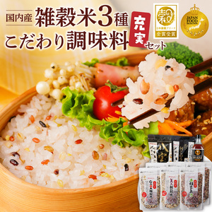 雑穀米&こだわり調味料充実セット _ 雑穀米 調味料 各3種 充実 セット 詰め合わせ 人気 こだわり GABA雑穀米 美人雑穀米 五種玄氣米 エッ何このうまさ 顆粒タイプ 八宝だし ナチュラルクック だし 和風だし 減塩 減糖 料理 健康 ギフト用 お取り寄せ 福岡県 久留米市 送料無料  〔Gr072〕