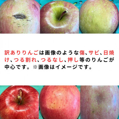 【令和7年1月下旬頃発送】産地直送 青森県産 訳ありサンふじ10キロ箱 26～46玉 青森県産りんご【配送不可地域：離島・沖縄県】
