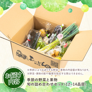 y358 野菜と果物旬の詰め合わせ(12～14品目) 国産 九州産 鹿児島県産 野菜 やさい果物 くだもの フルーツ デザート 詰め合わせ お楽しみ セット 旬【鹿児島県経済農業協同組合連合会】