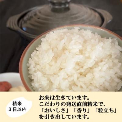 ふるさと納税 能美市 【日本農業賞大賞】令和7年産ゆめみづほ9kg(4.5kg×2)精白米 |  | 02