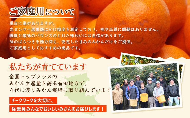 ［先行予約］家庭用 小さな有田みかん2.5kg+250g（傷み補償分）［2026年10月初旬から2027年1月末日頃順次発送予定］［IKE246］