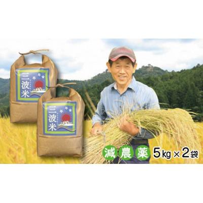 ふるさと納税 朝来市 栽培期間中農薬を減らしお作りした 三波農地を守る会のコシヒカリ　10kg(5kgを2袋)玄米