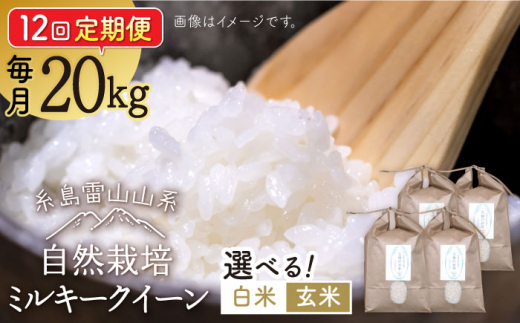 【玄米】【全12回定期便】糸島産 ミルキークイーン 20kg 自然栽培 糸島市 / 大石ファーム [ATE040-2]