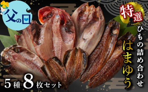 【父の日配送・日時指定可】【ラッピング対応】 干物 特選セット 5種 8枚 はまゆう 厳選 金目鯛 キンメ あじ 真ほっけ 干物 さば ひもの いわし 干物 詰め合わせ 父の日 沼津 静岡県