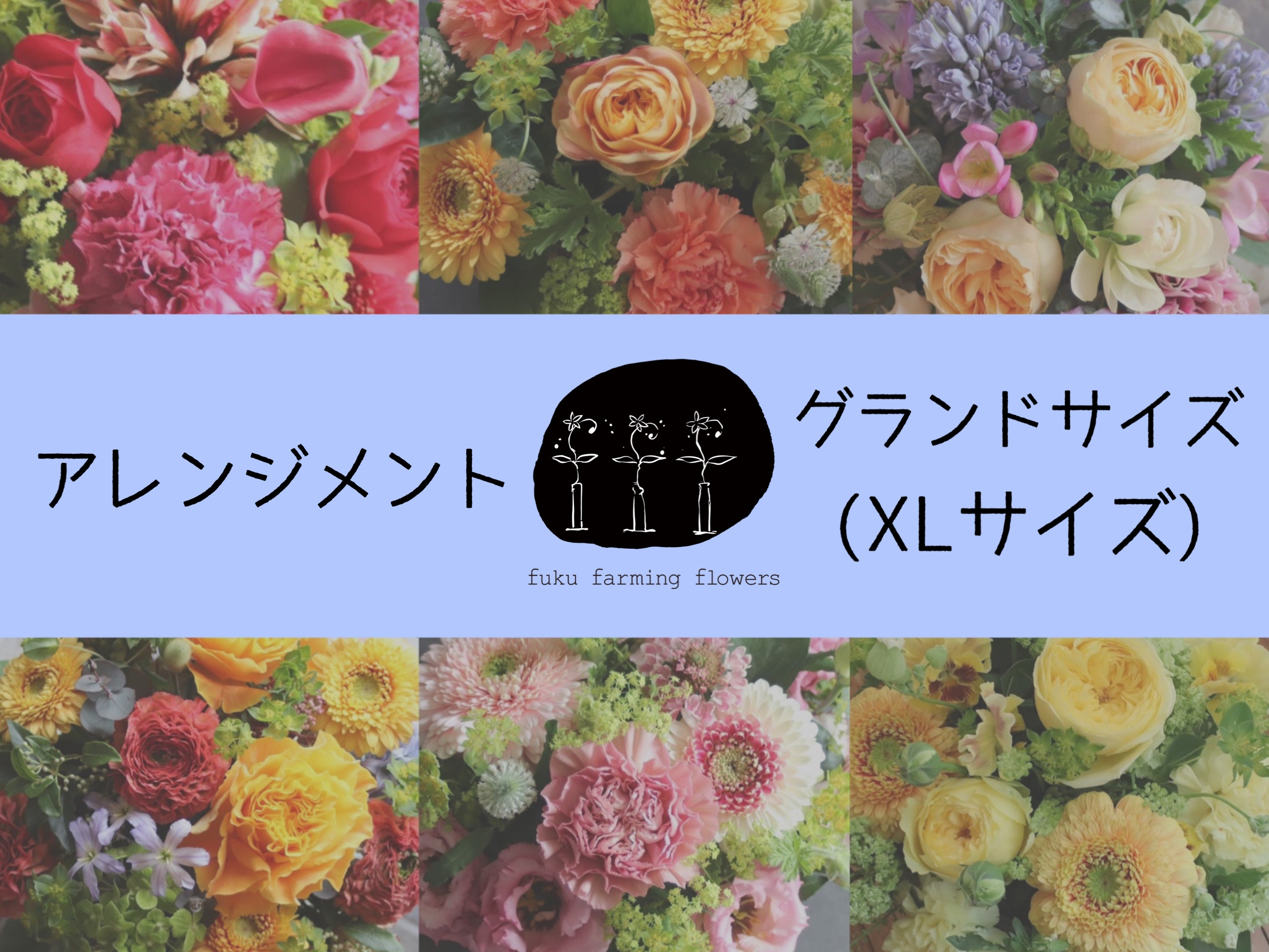
                  【fuku farming flowers】フラワーアレンジメント XLサイズ｜グランドサイズ 
                