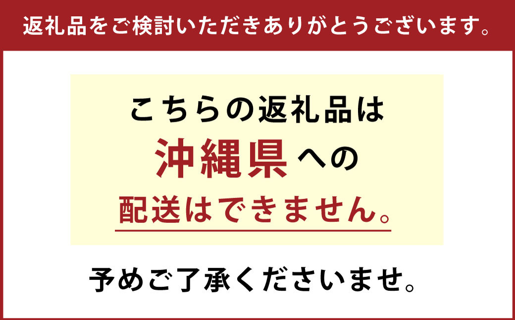 【2ヶ月毎3回定期便】 薬用 マウスウォッシュ メイクアニューハビット ブラックミント 473ml×6個 セット